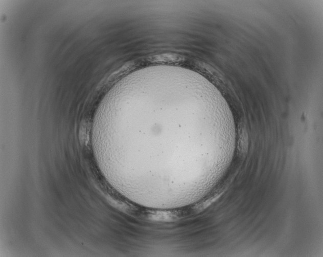 X0000085070091200704021422