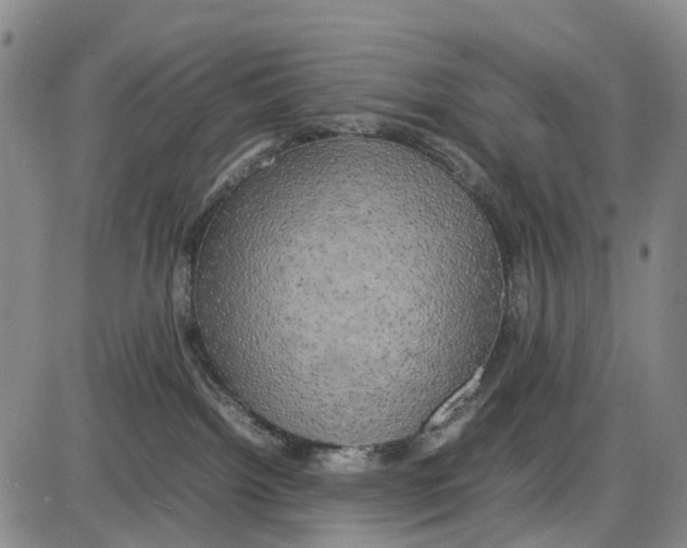 X0000085070092200704021422