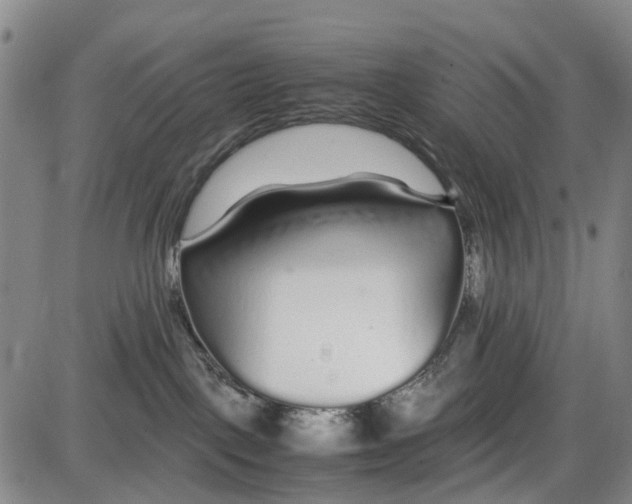 X0000085070093200704021422