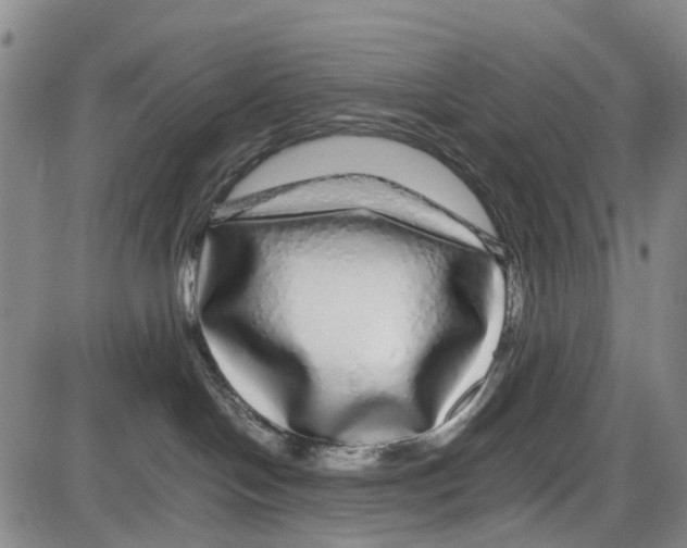 X0000085070094200704021422