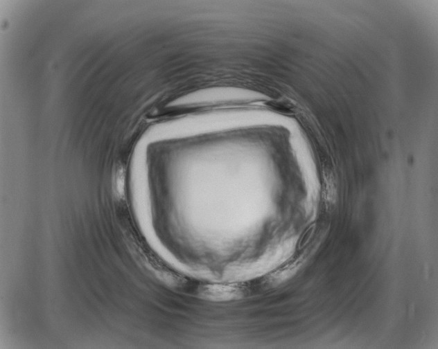 X0000085070095200704021422