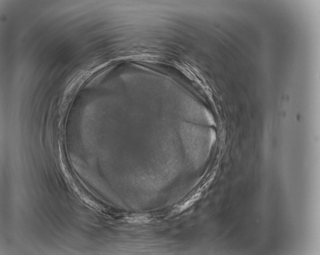 X0000085070097200704021421