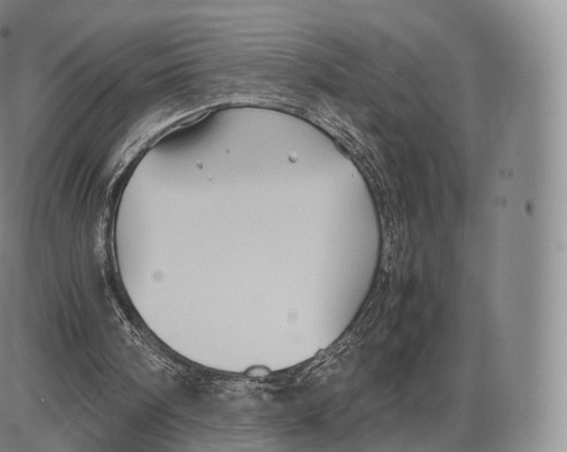 X0000085070098200704021421