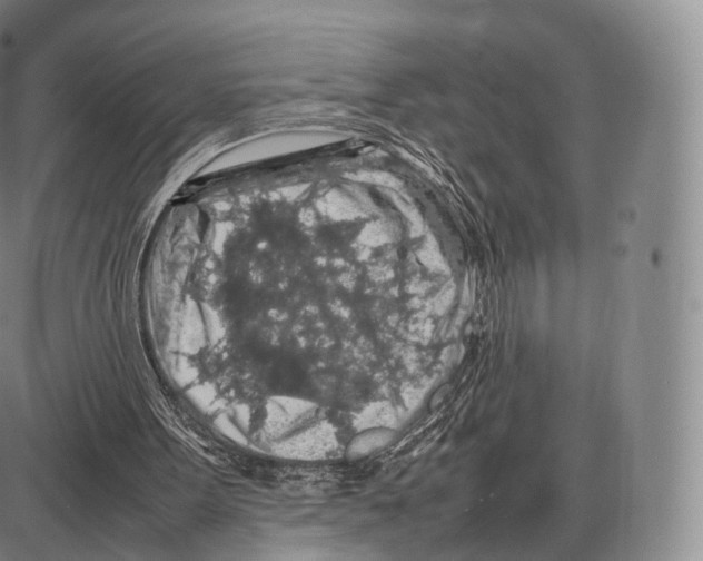 X0000085070099200704021421