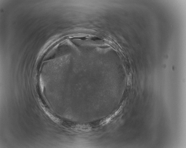 X0000085070101200704021421