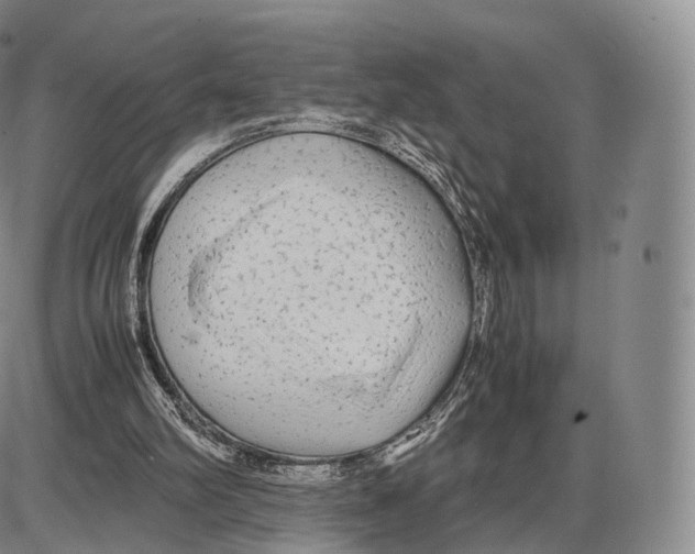 X0000085070102200704021421