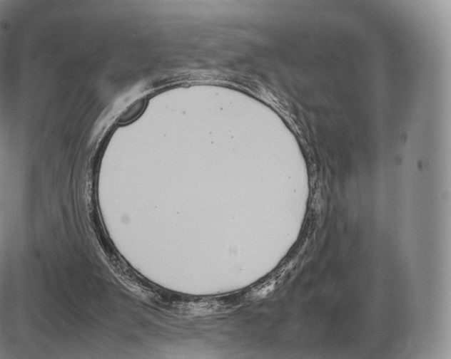 X0000085070103200704021421