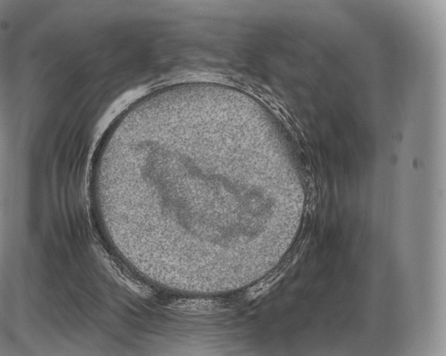 X0000085070104200704021421