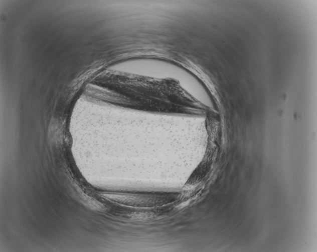 X0000085070105200704021421