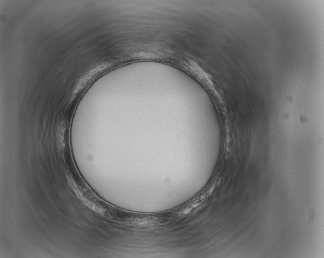 X0000085070106200704021421