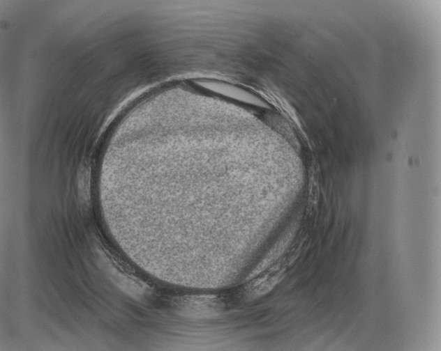 X0000085070108200704021421