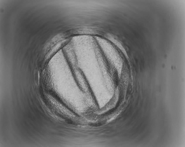 X0000085070109200704021421