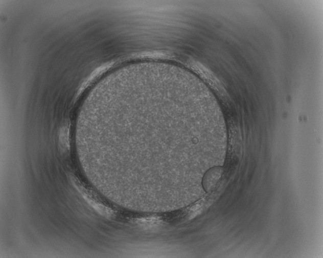 X0000085070112200704021421