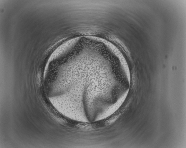 X0000085070113200704021421