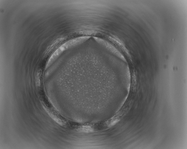 X0000085070114200704021421