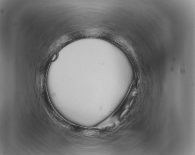 X0000085070115200704021421