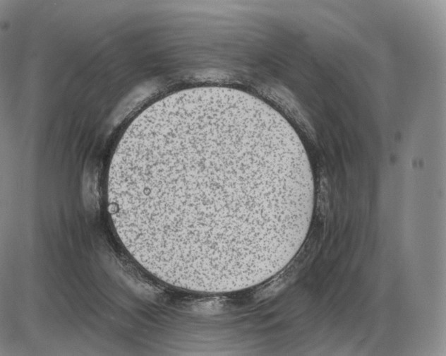 X0000085070116200704021421