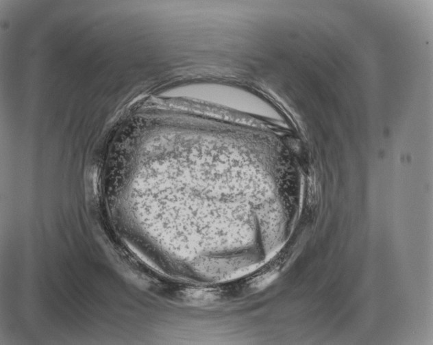 X0000085070117200704021421