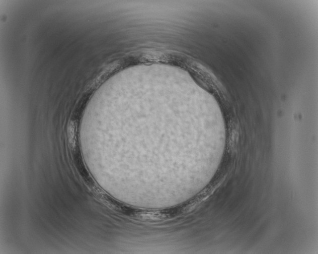 X0000085070121200704021421