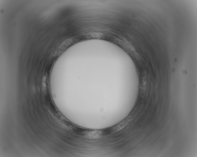 X0000085070122200704021421