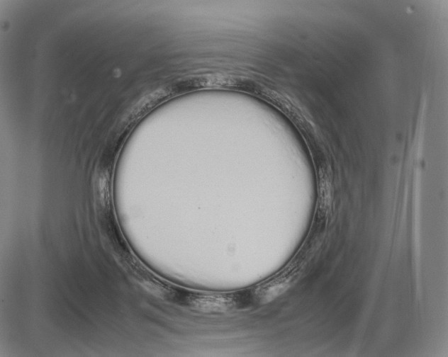 X0000085070123200704021421