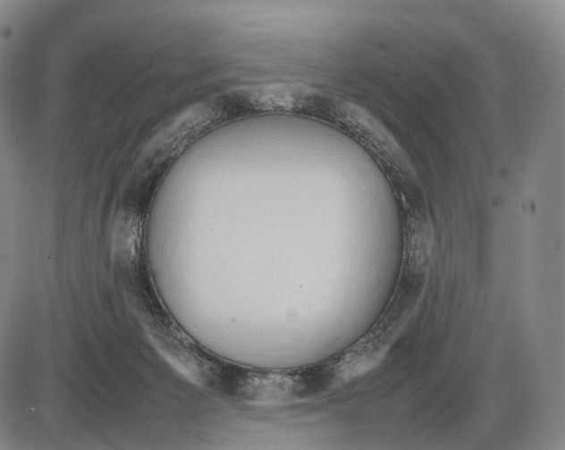 X0000085070125200704021421