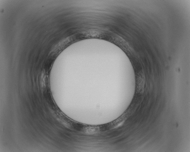 X0000085070126200704021421