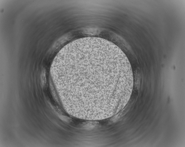 X0000085070128200704021421