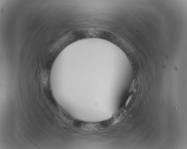 X0000085070129200704021421