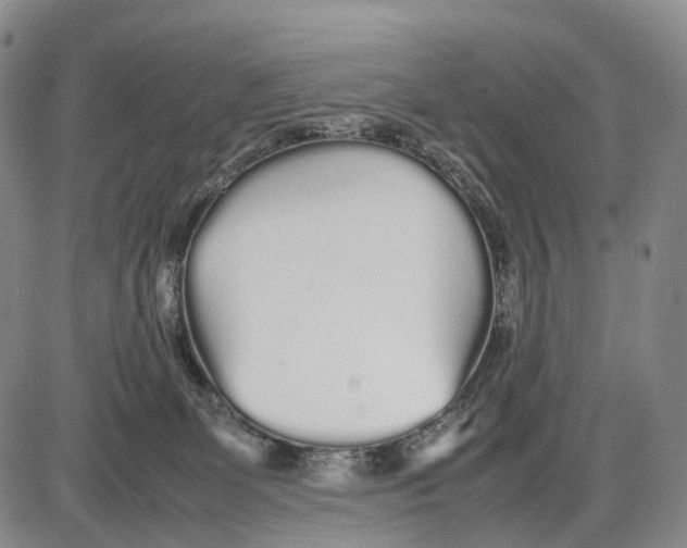 X0000085070131200704021421