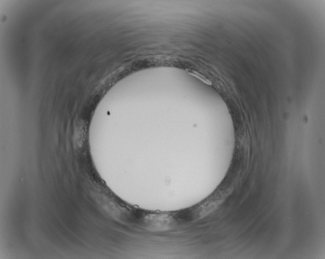 X0000085070133200704021421