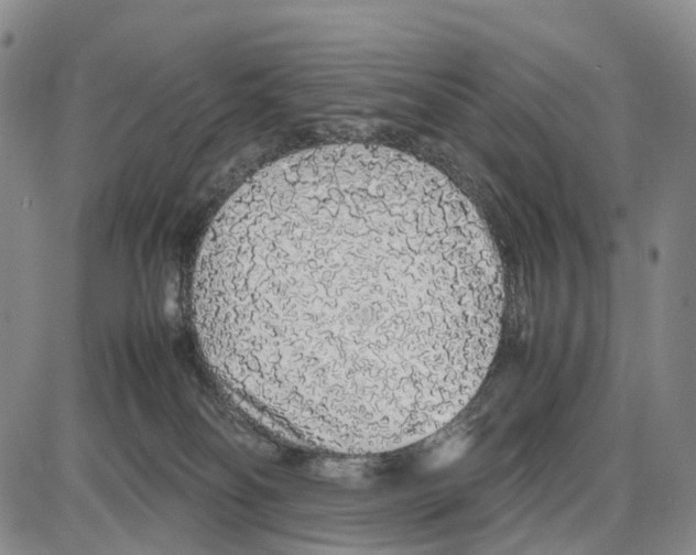 X0000085070134200704021421