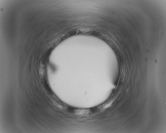 X0000085070135200704021421