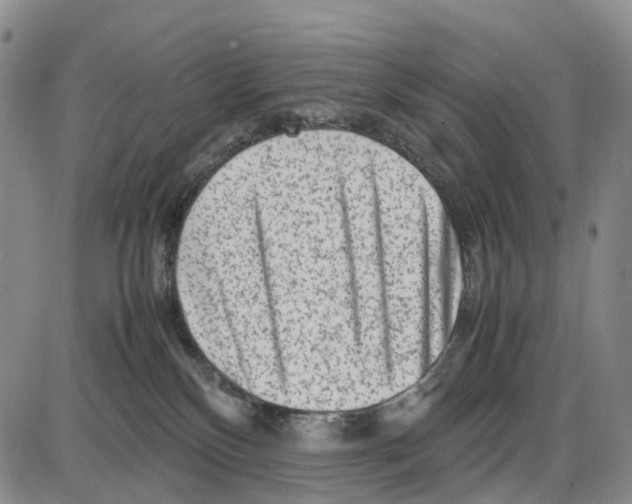 X0000085070136200704021421