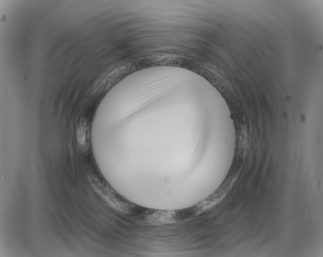 X0000085070138200704021420