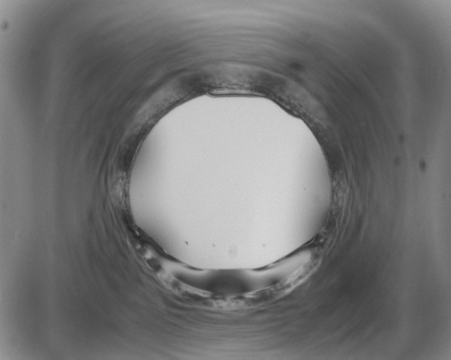 X0000085070141200704021420