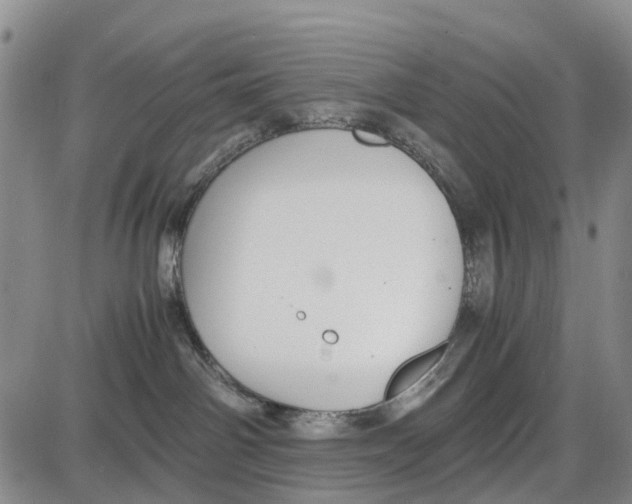 X0000085070142200704021420