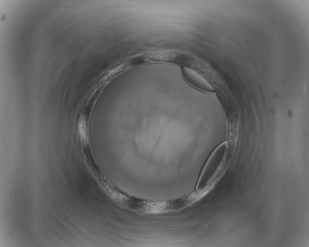 X0000085070143200704021420