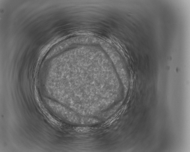 X0000085070145200704021420