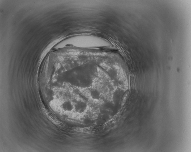 X0000085070147200704021420