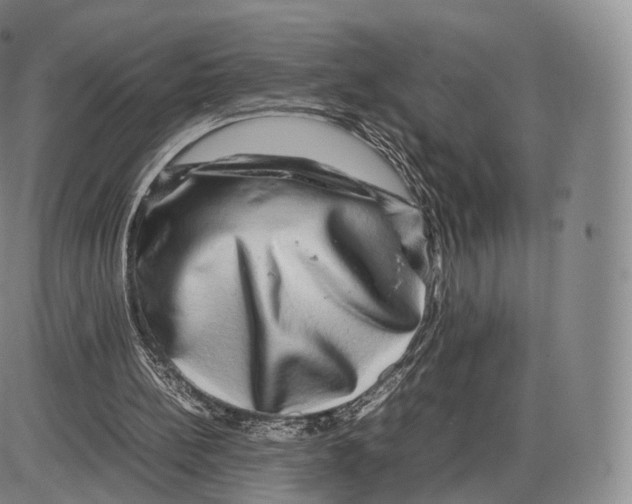 X0000085070148200704021420