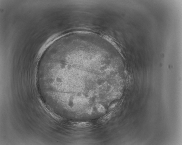 X0000085070151200704021420