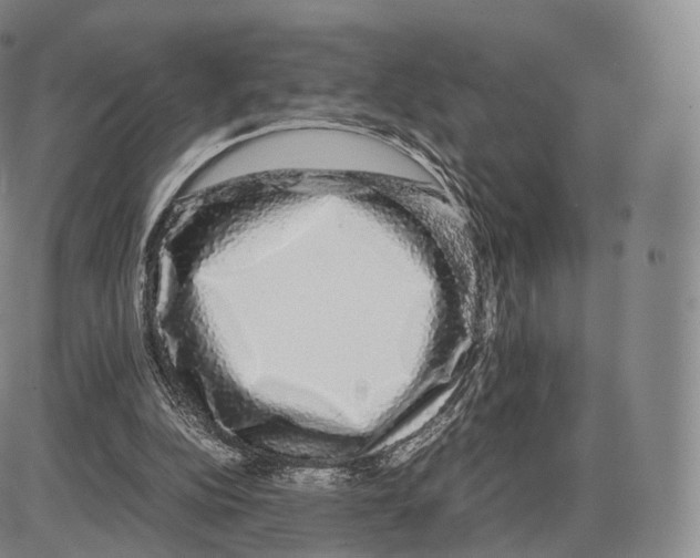 X0000085070152200704021420