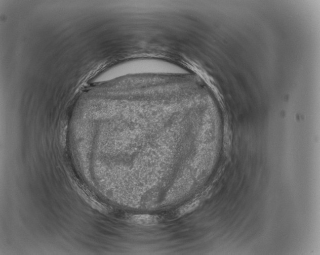 X0000085070153200704021420