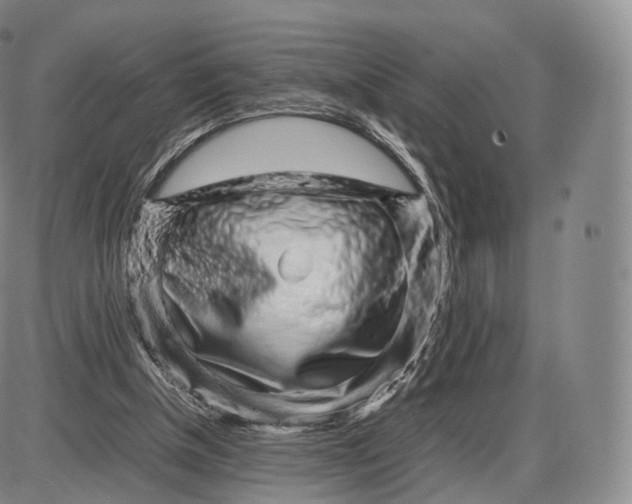 X0000085070154200704021420