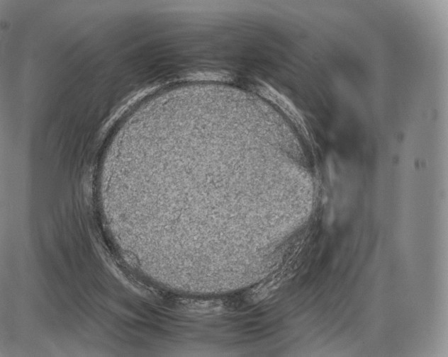 X0000085070155200704021420