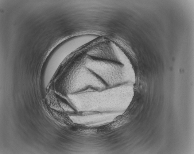 X0000085070156200704021420