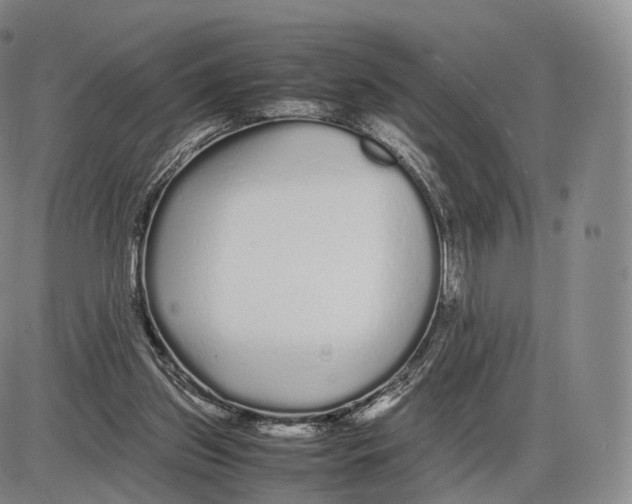 X0000085070157200704021420