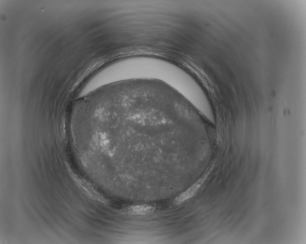 X0000085070158200704021420