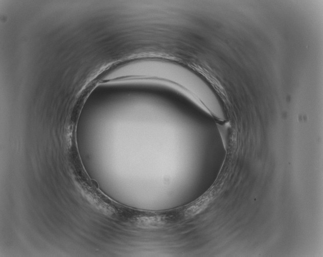 X0000085070160200704021420